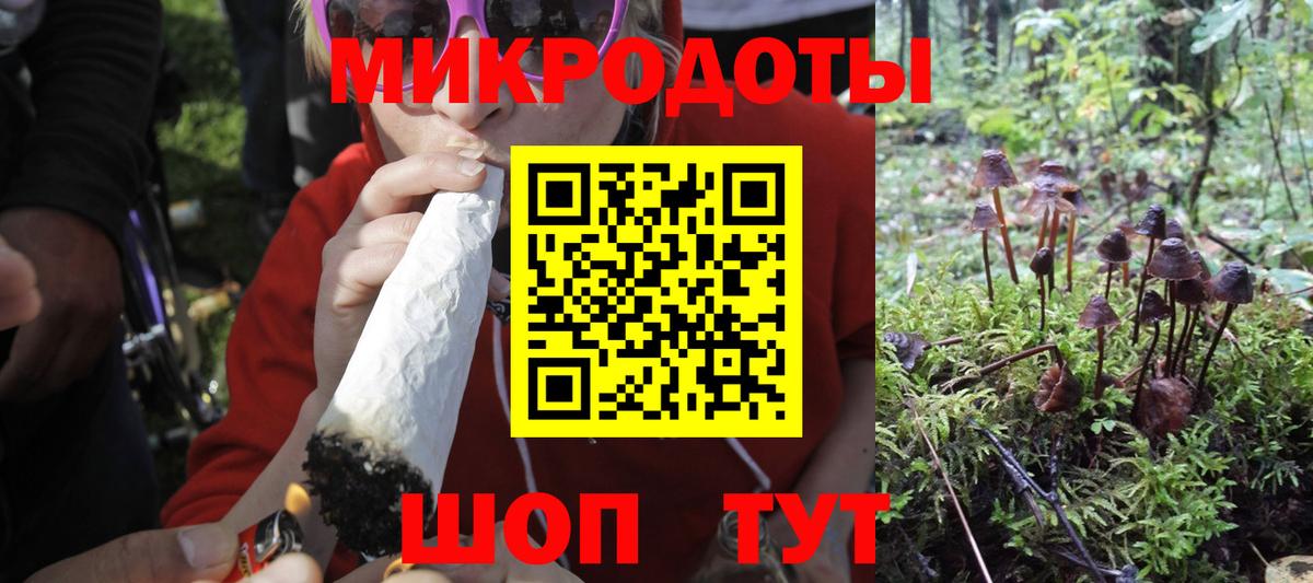 Псилоцибиновые грибы мухоморы  Псилоцибиновые грибы Psilocybe  как найти наркотики  Вход с VPN  Ефремов 